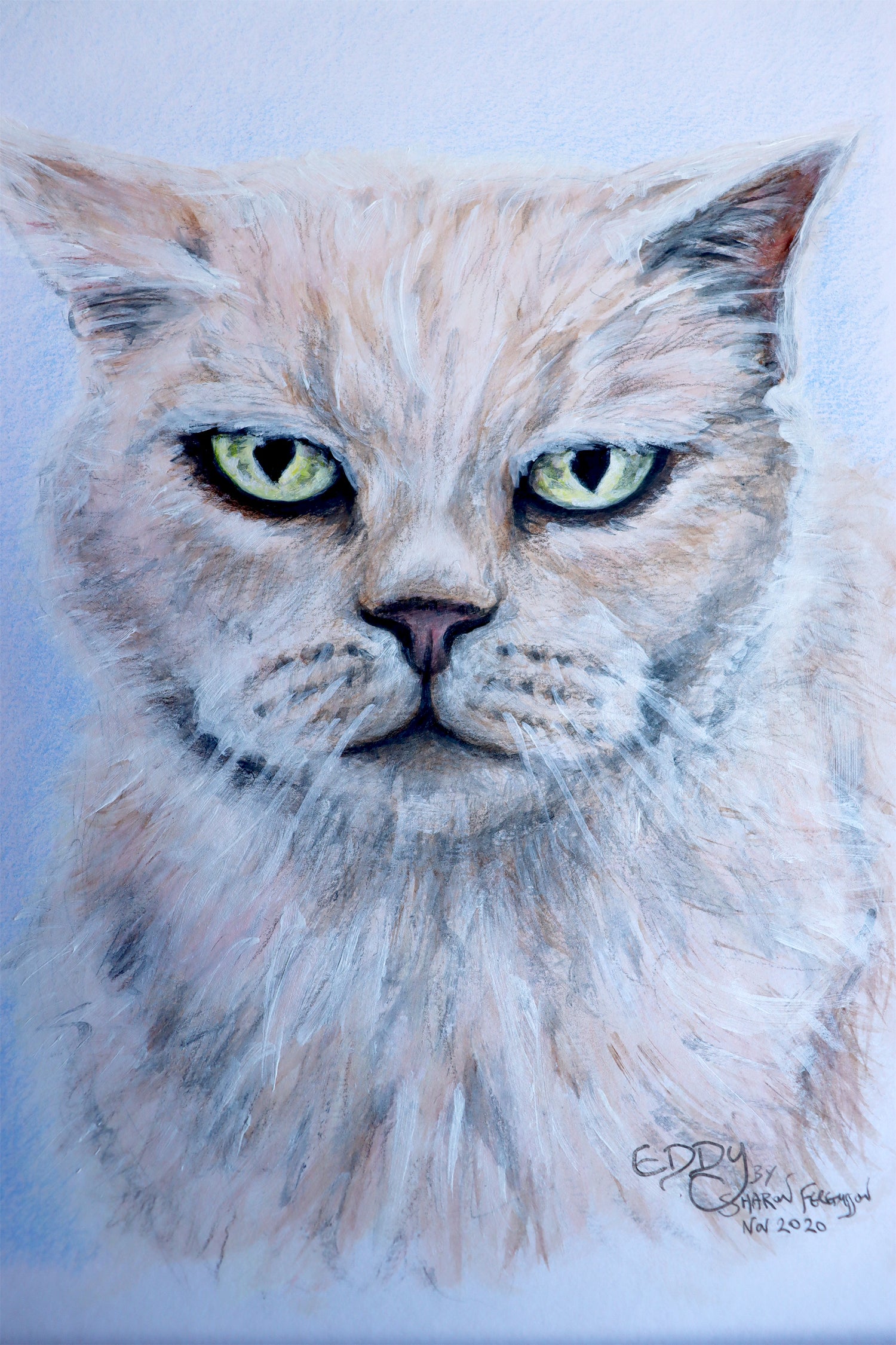 Pet Portrait Painting of Eddy the Cat